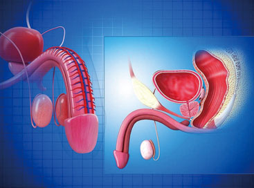 重庆男性阳痿的病因是什么